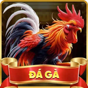 Biểu tượng Instagram của f1686 android